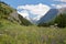 LANSLEVILLARD, FRANCEÂ : Landscape with colorful flowers in the foreground, Vanoise National Park, Northern Alps